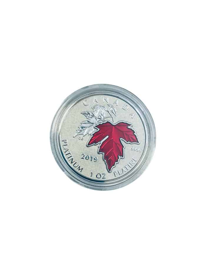 2019 Pure Platinum Coin - Maple Leaf Forever, .9995 - Image 2