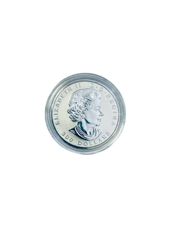 2019 Pure Platinum Coin - Maple Leaf Forever, .9995 - Image 3